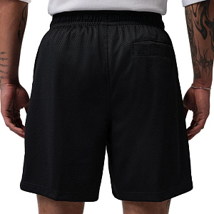 Шорты Jordan Break Champion Mesh Short