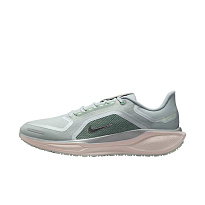 Кроссовки Nike Pegasus 41 GORE-TEX