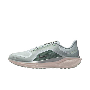Кроссовки Nike Pegasus 41 GORE-TEX
