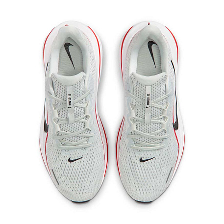 Кроссовки Nike Air Winflo 12