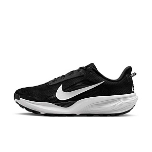 Кроссовки Nike Acg Pegasus