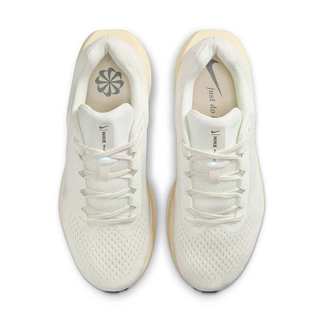 Кроссовки Nike Winflo 11