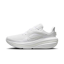 Кроссовки Nike Air Winflo 12