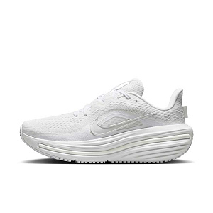 Кроссовки Nike Air Winflo 12