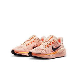 Кроссовки Nike Pegasus 41 (GS)
