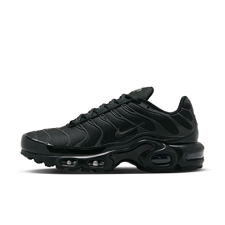 Кроссовки Nike Air Max Plus