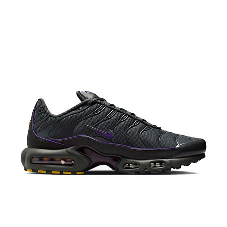 Кроссовки Nike Air Max Plus