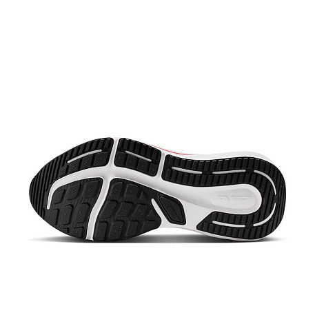 Кроссовки Nike Air Winflo 12