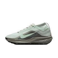 Кроссовки Nike ACG Pegasus Trail Gore-Tex