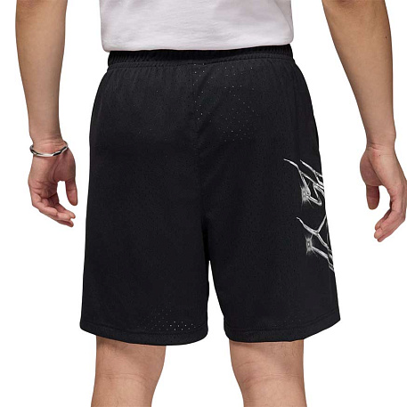 Шорты Jordan Sport Dri-FIT Graphic Shorts