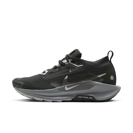 Кроссовки Nike Pegasus Trail 5 GORE-TEX