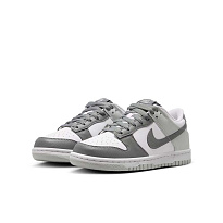 Кроссовки Nike Dunk Low Retro Premium (GS)