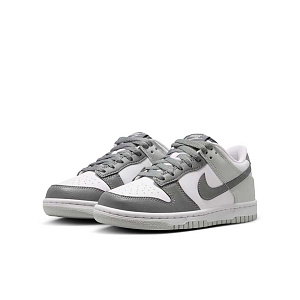 Кроссовки Nike Dunk Low Retro Premium (GS)