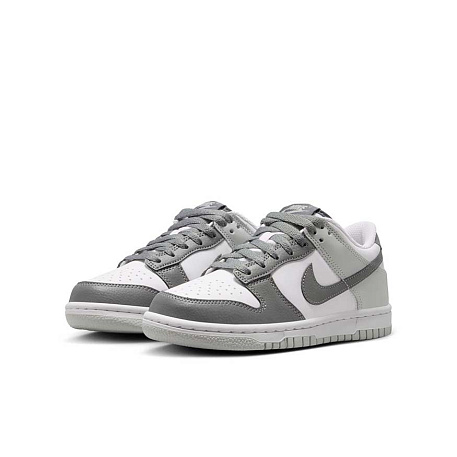 Кроссовки Nike Dunk Low Retro Premium (GS)