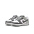 Кроссовки Nike Dunk Low Retro Premium (GS)