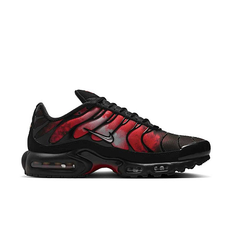 Кроссовки Nike Air Max Plus