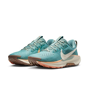 Кроссовки Nike Pegasus Trail 5
