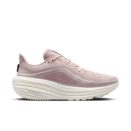 Кроссовки Nike Air Winflo 12