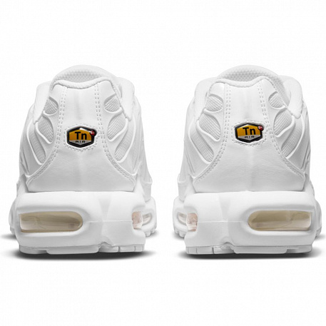 Кроссовки Nike AIR MAX PLUS