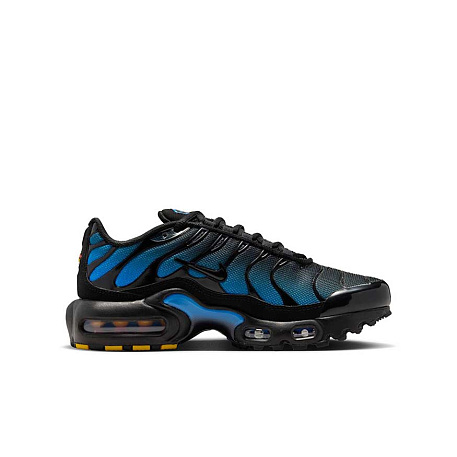 Кроссовки Nike Air Max Plus (GS)
