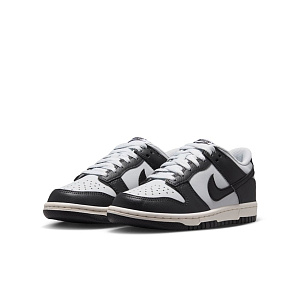 Кроссовки Nike Dunk Low Retro (GS)