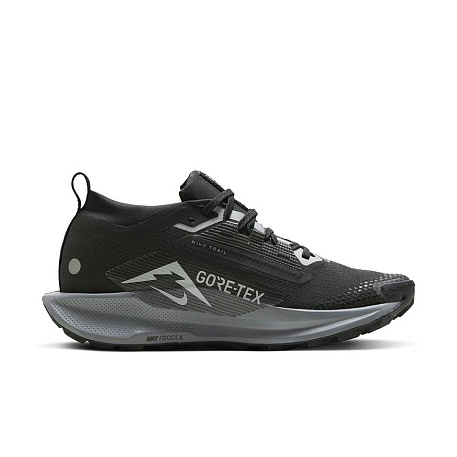 Кроссовки Nike Pegasus Trail 5 GORE-TEX
