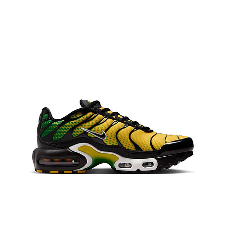 Кроссовки Nike Air Max Plus (GS)