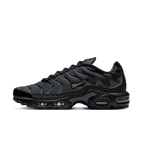 Кроссовки Nike Air Max Plus