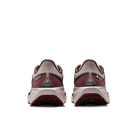 Кроссовки Nike Pegasus 41 GORE-TEX