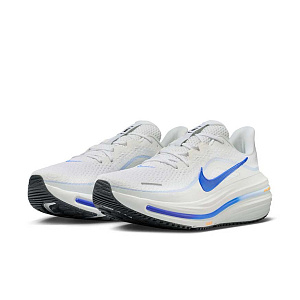 Кроссовки Nike Air Winflo 12
