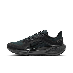 Кроссовки Nike Pegasus 41 GORE-TEX
