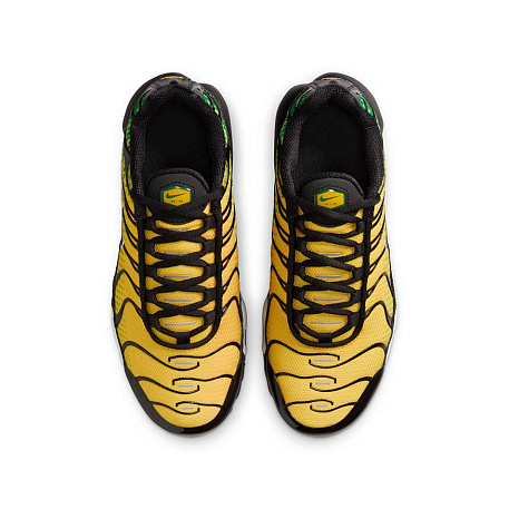 Кроссовки Nike Air Max Plus (GS)
