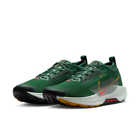 Кроссовки Nike Pegasus Trail 5 GORE-TEX