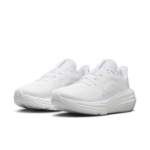 Кроссовки Nike Air Winflo 12