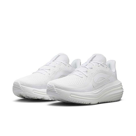 Кроссовки Nike Air Winflo 12