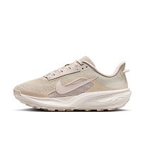 Кроссовки Nike All Conditions Gear Pegasus Trail