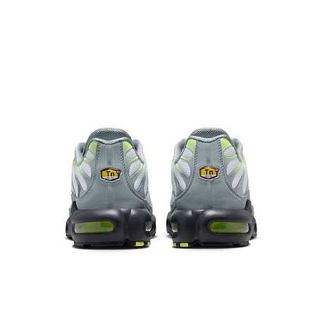 Кроссовки Nike Air Max Plus