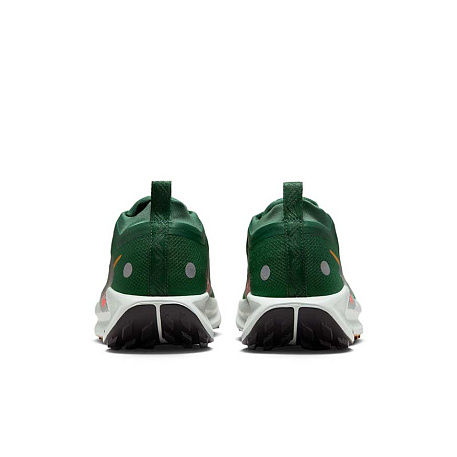 Кроссовки Nike Pegasus Trail 5 GORE-TEX