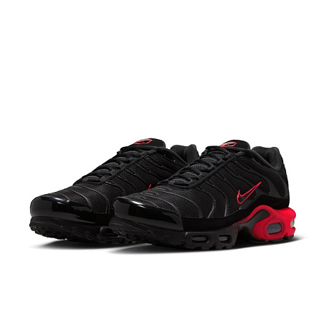 Кроссовки Nike Air Max Plus