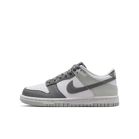 Кроссовки Nike Dunk Low Retro Premium (GS)