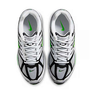 Кроссовки Nike Air Pegasus 2005