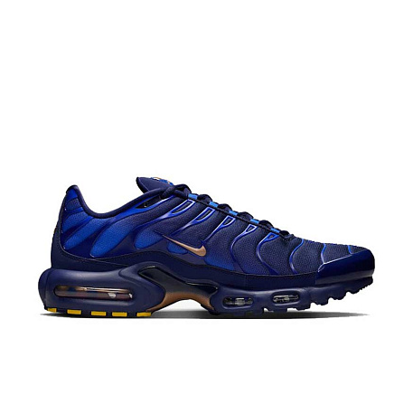 Кроссовки Nike Air Max Plus
