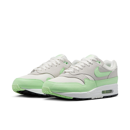 Кроссовки Nike Air Max 1 Essential