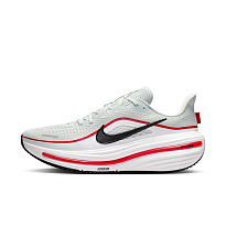 Кроссовки Nike Air Winflo 12
