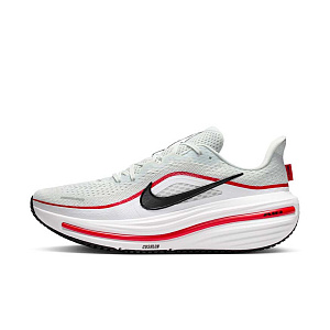 Кроссовки Nike Air Winflo 12
