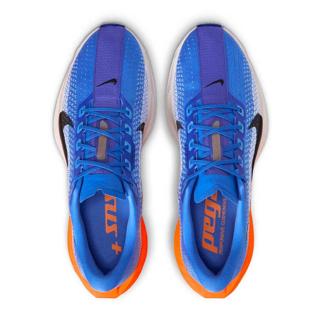 Кроссовки Nike Pegasus Plus