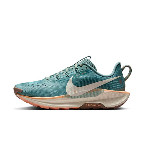 Кроссовки Nike Pegasus Trail 5