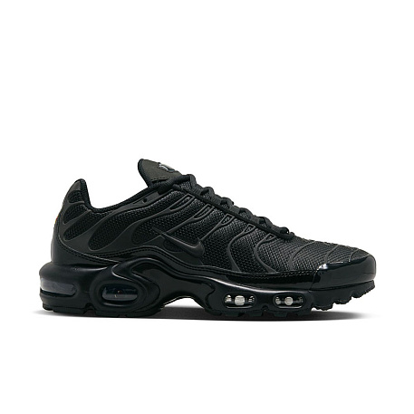 Кроссовки Nike Air Max Plus