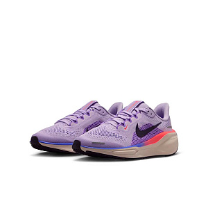 Кроссовки Nike Pegasus 41(GS)