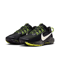 Кроссовки Nike Pegasus Trail 5
